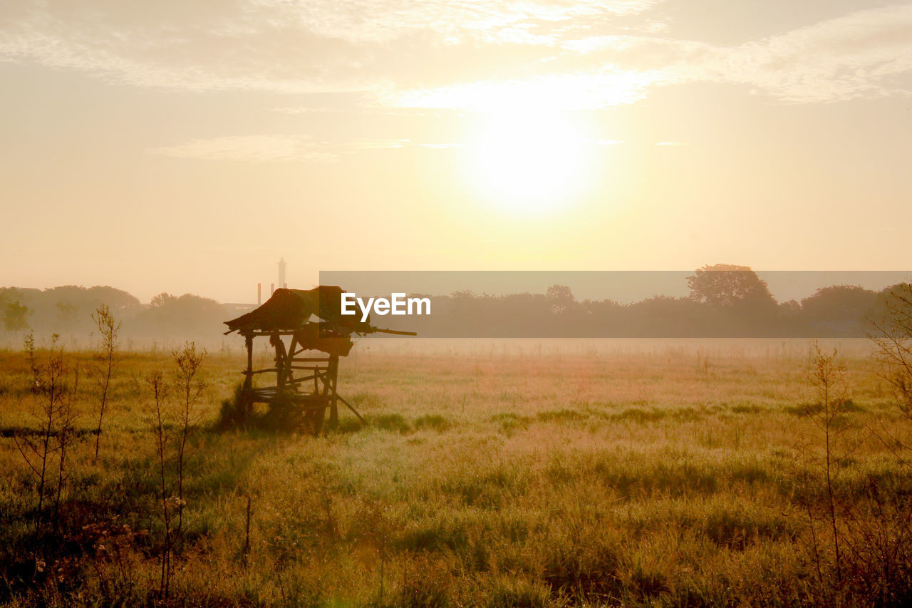 HORSE ON FIELD DURING SUNSET