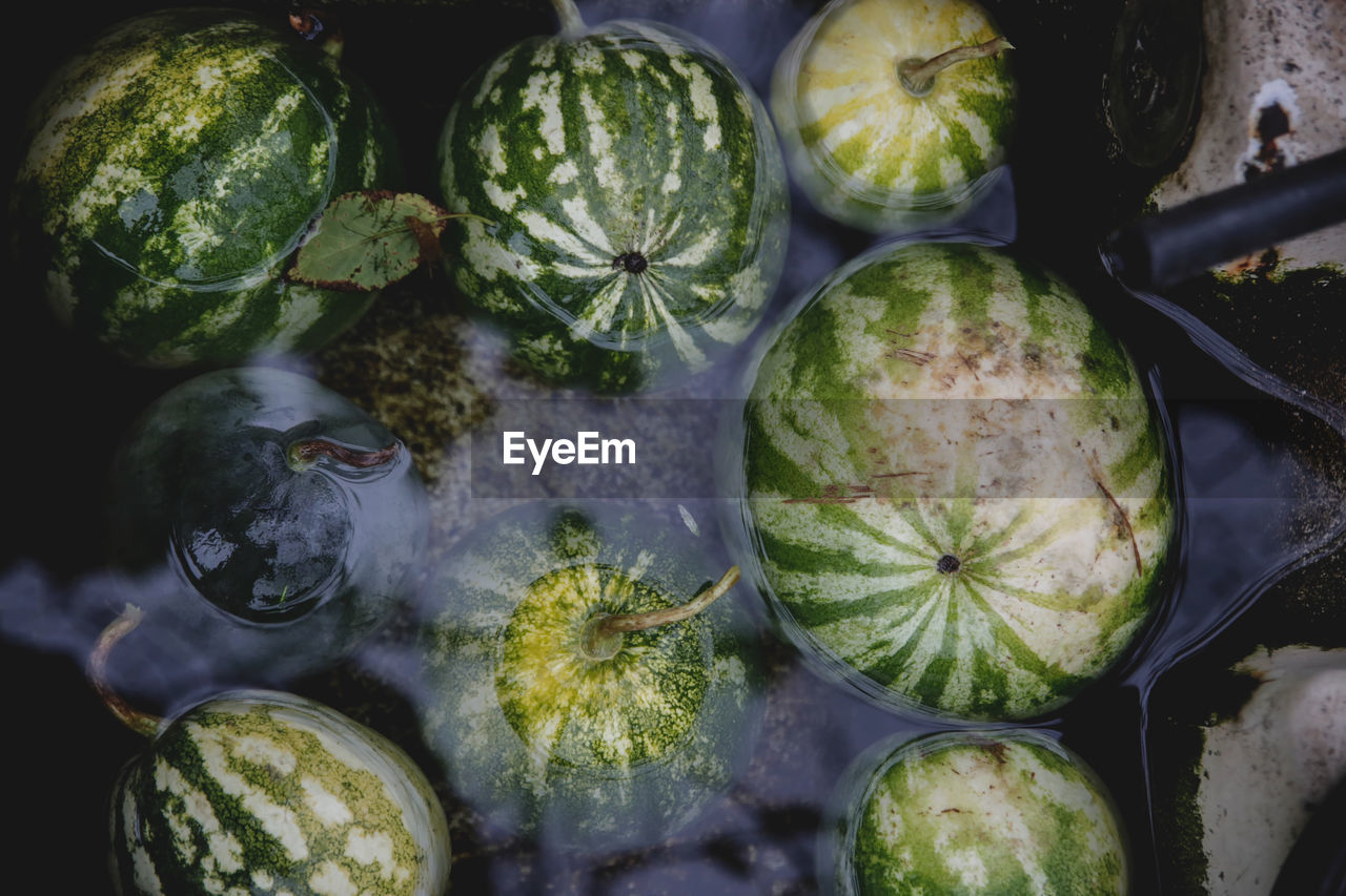 High angle view of watermelons for sale at market