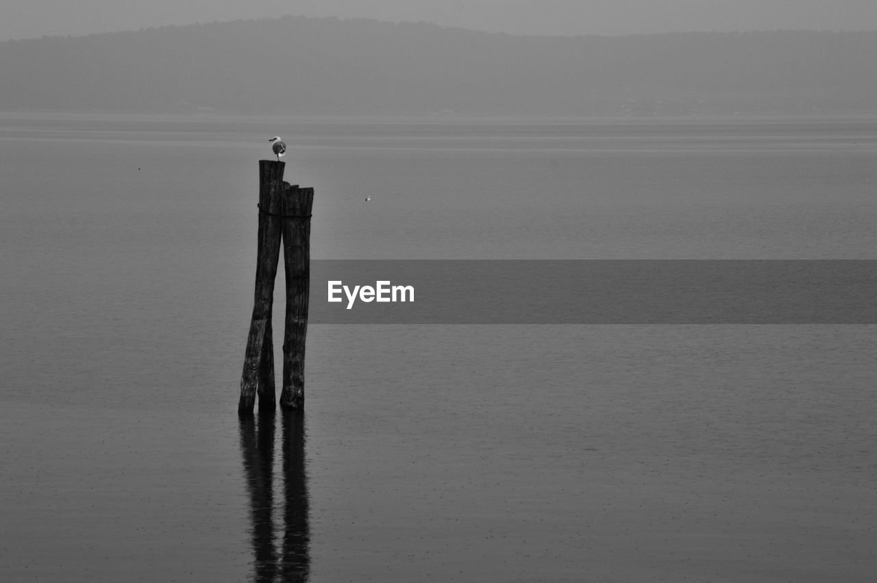 Wooden post in sea against sky