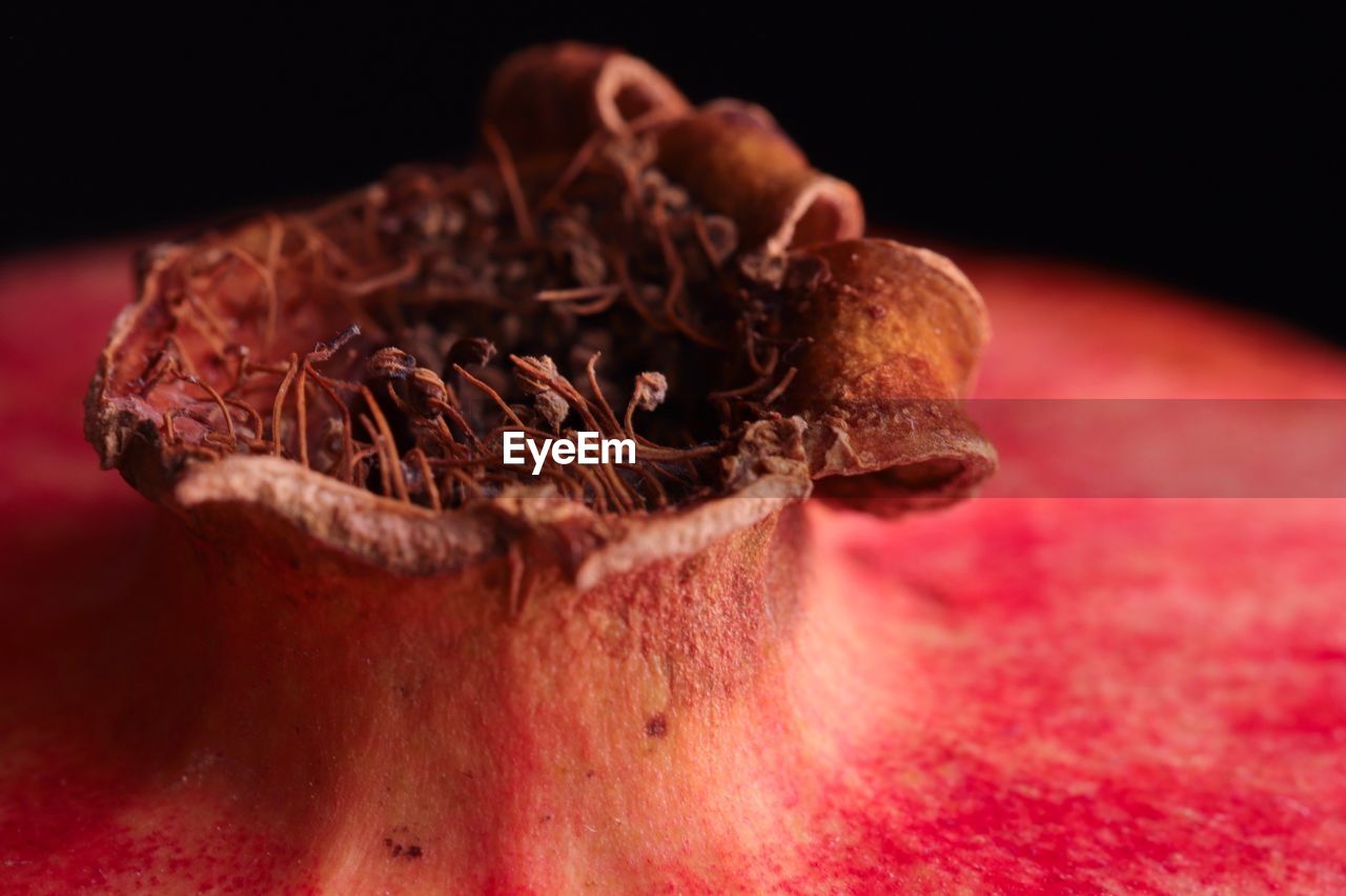 Close-up of pomegranate against black background