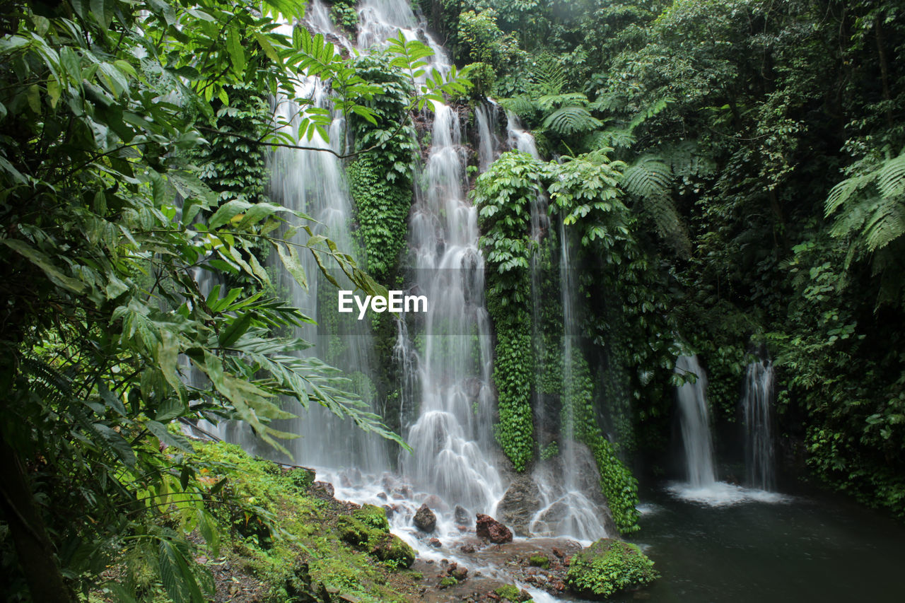 view of waterfall in forest