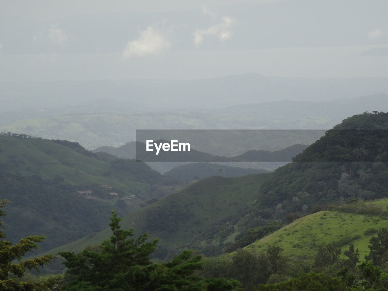 SCENIC VIEW OF GREEN LANDSCAPE AGAINST SKY