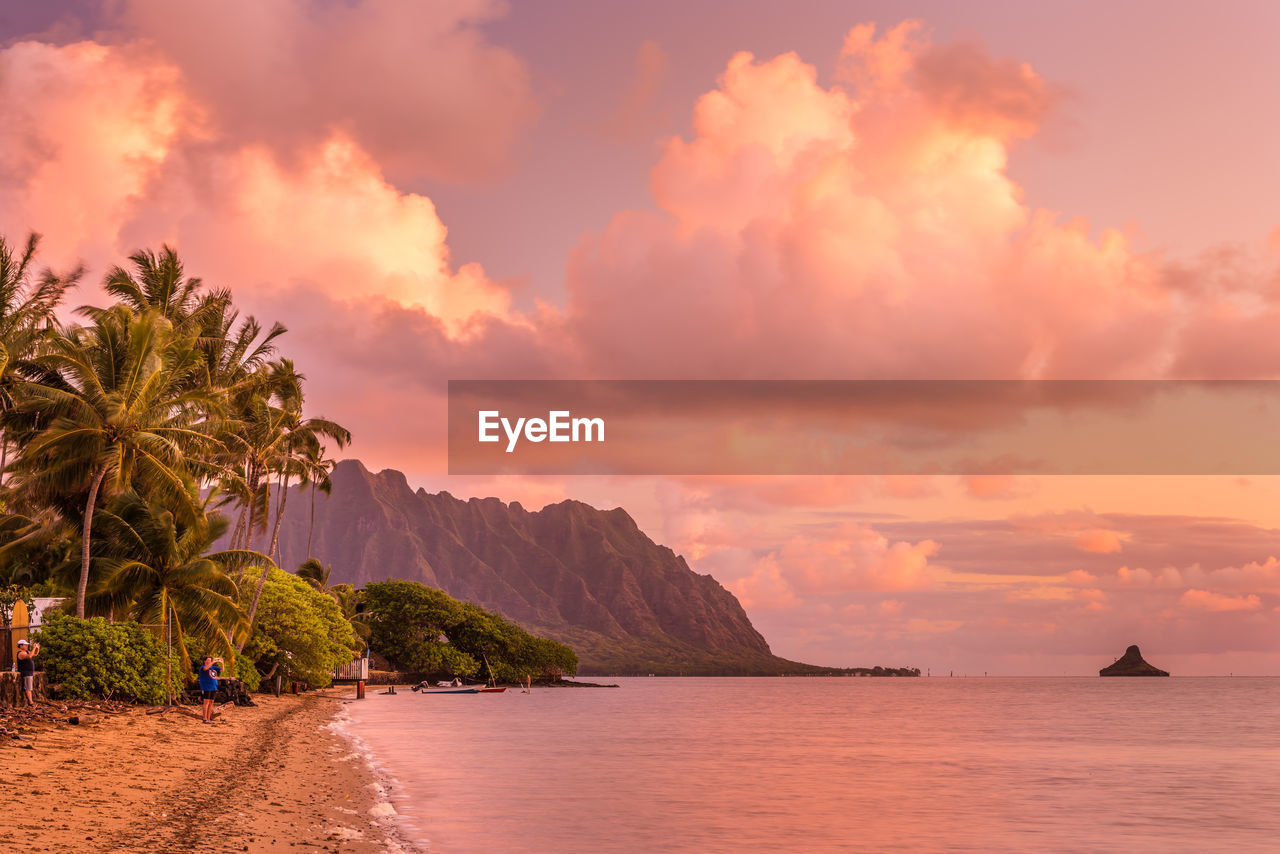 Scenic view of hawaiian landscape during sunset