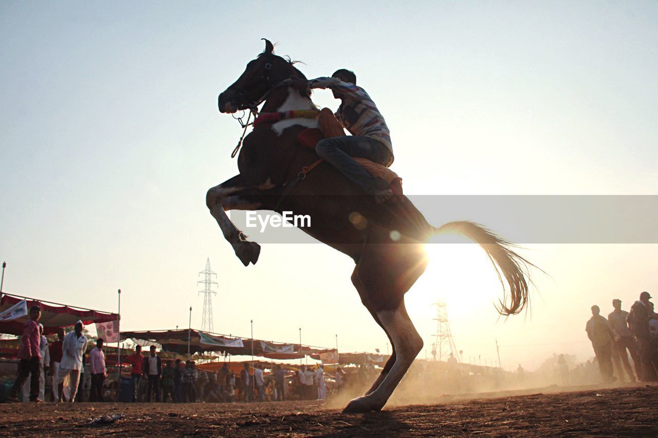 Man on rearing horse against sky