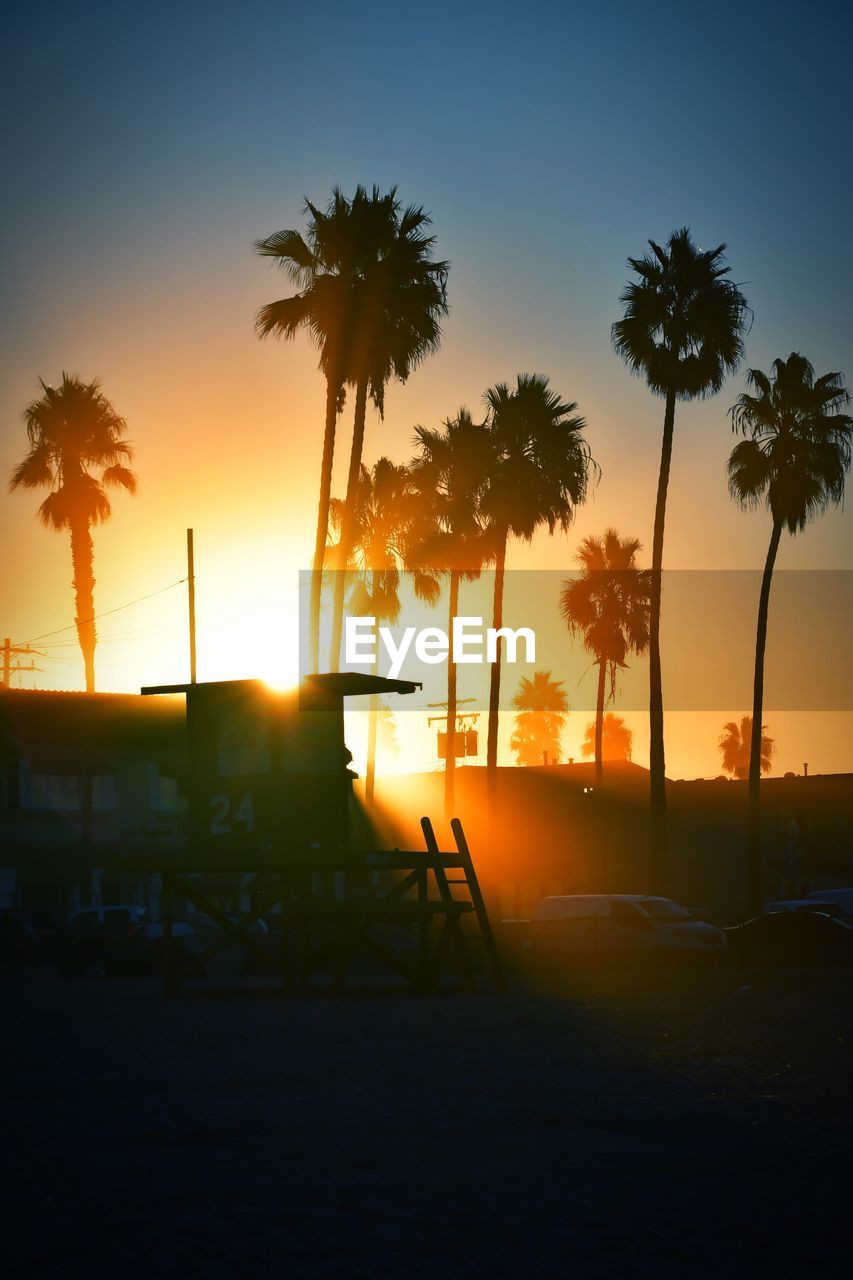 Silhouette palm trees against sky during sunset