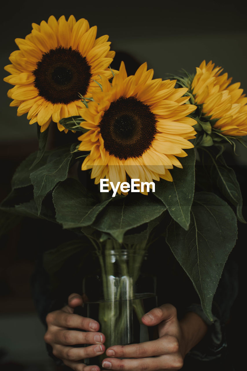 Cropped hands holding sunflowers in vase