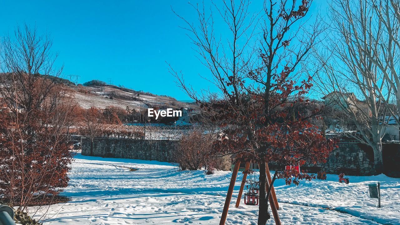 SNOW COVERED BARE TREES ON FIELD AGAINST CLEAR SKY