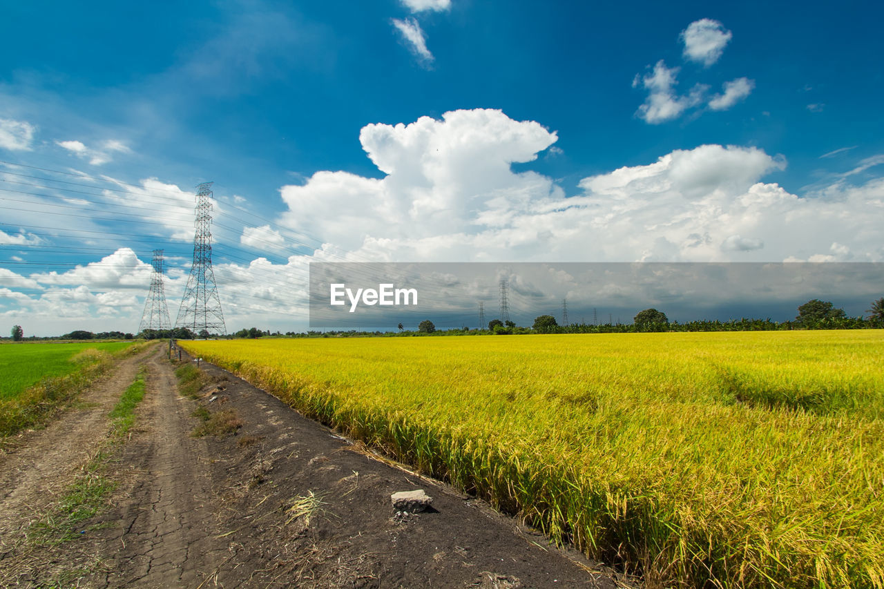 Scenic view of field against sky