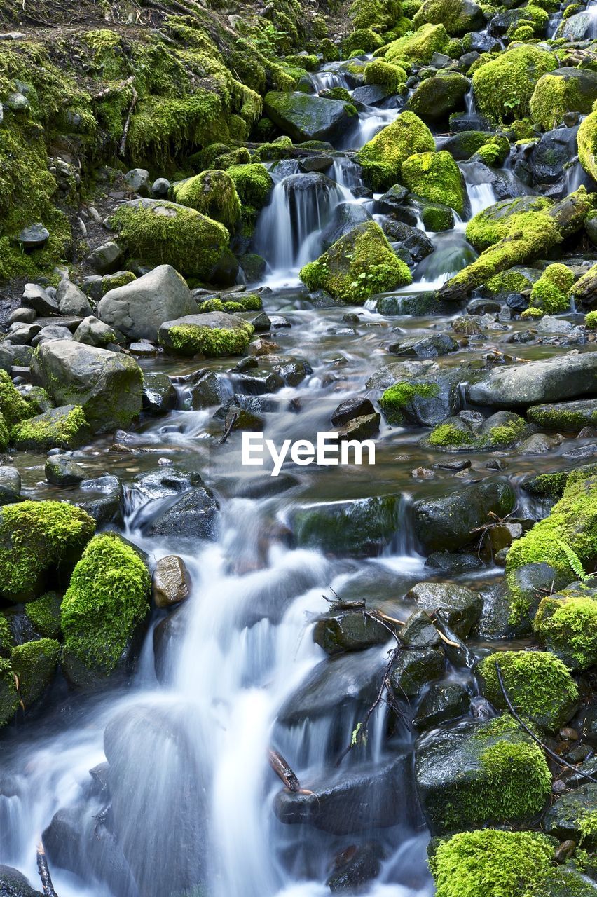 WATERFALL IN FOREST