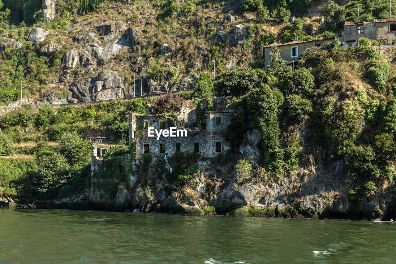 VIEW OF TREES BY RIVER AGAINST BUILDING