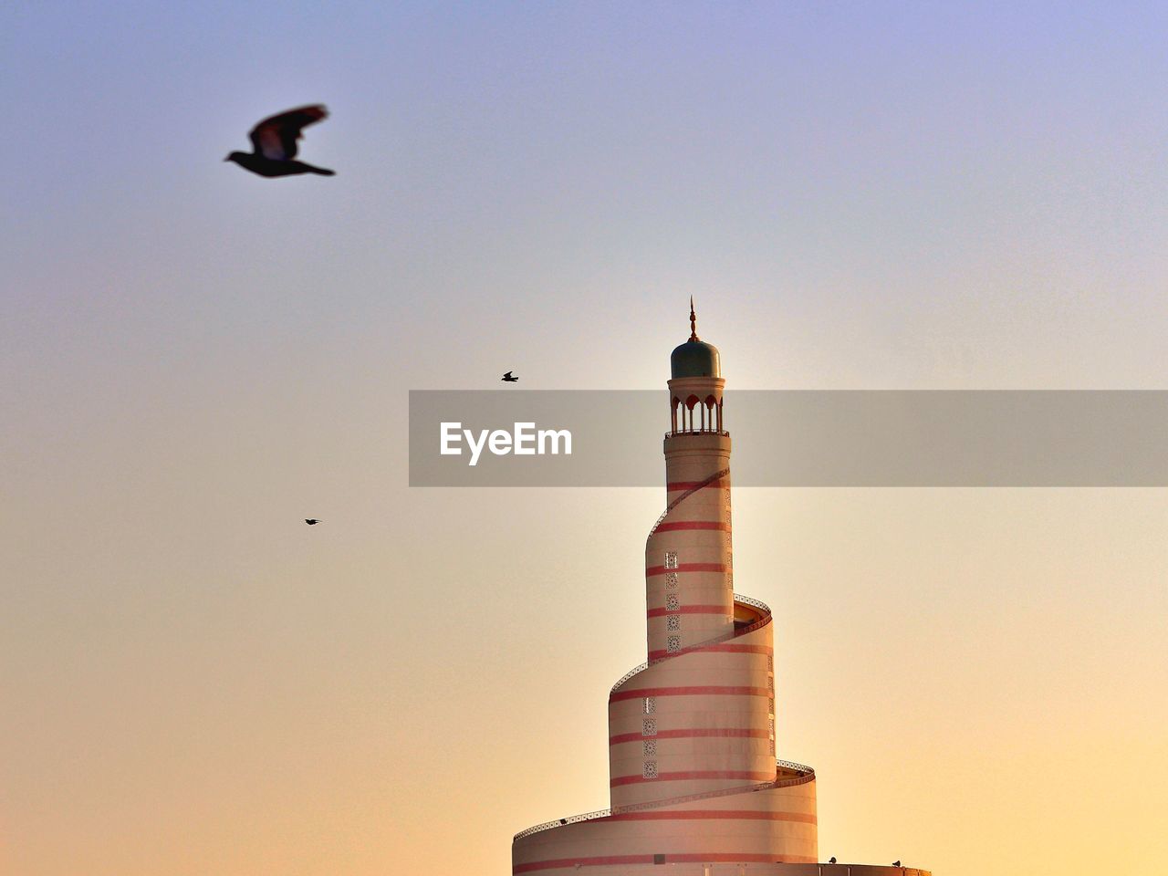 Seagulls flying over mosque