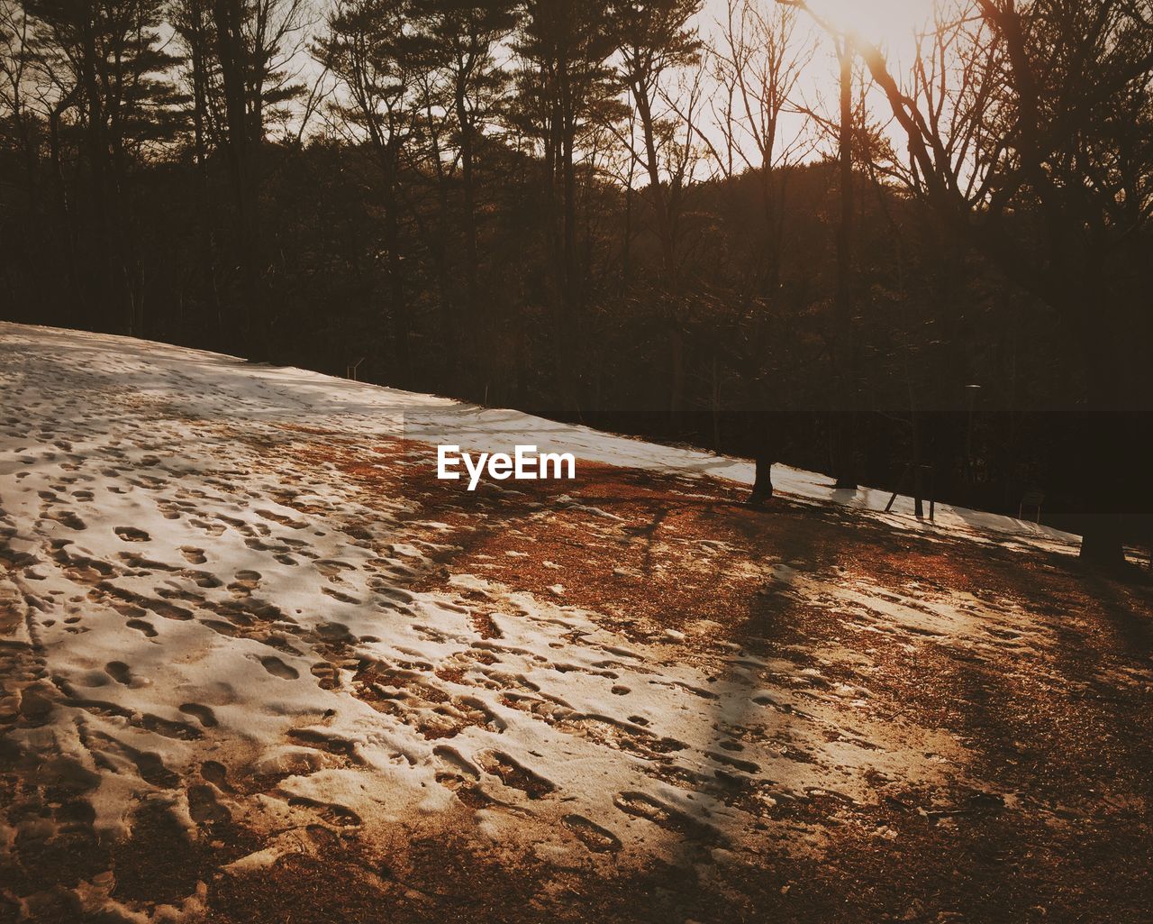 High angle view of footprints on hill during winter