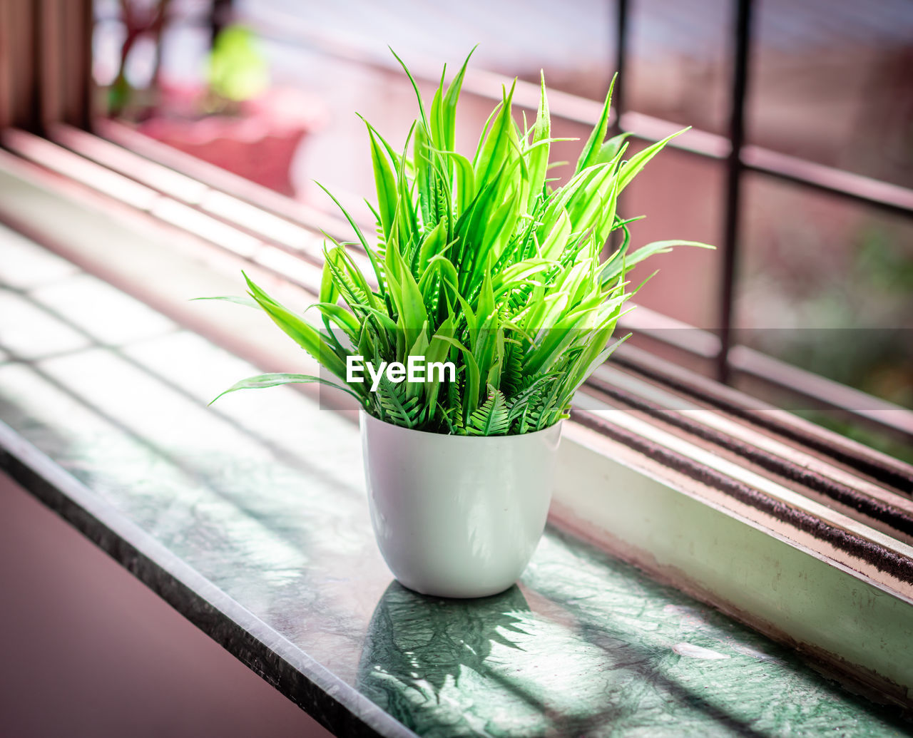 green, plant, grass, potted plant, nature, growth, flower, no people, window, houseplant, indoors, wheatgrass, leaf, floristry, flowerpot, freshness, plant part, food and drink, day, wood, herb, food, close-up, window sill, focus on foreground, floral design, beauty in nature, succulent plant