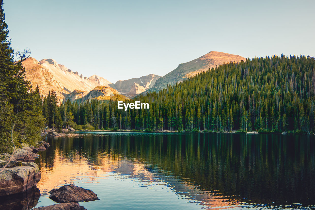 Scenic view of lake by trees against sky