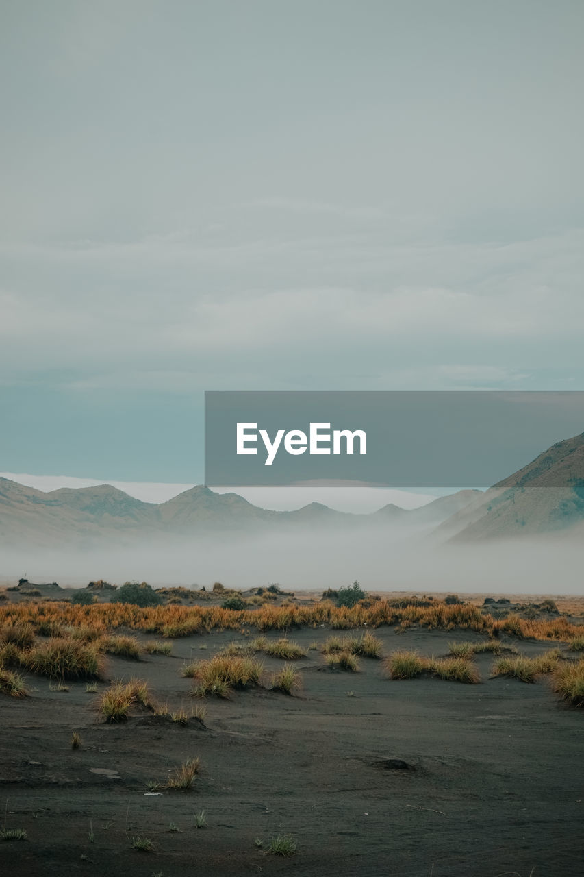 Scenic view of desert against sky