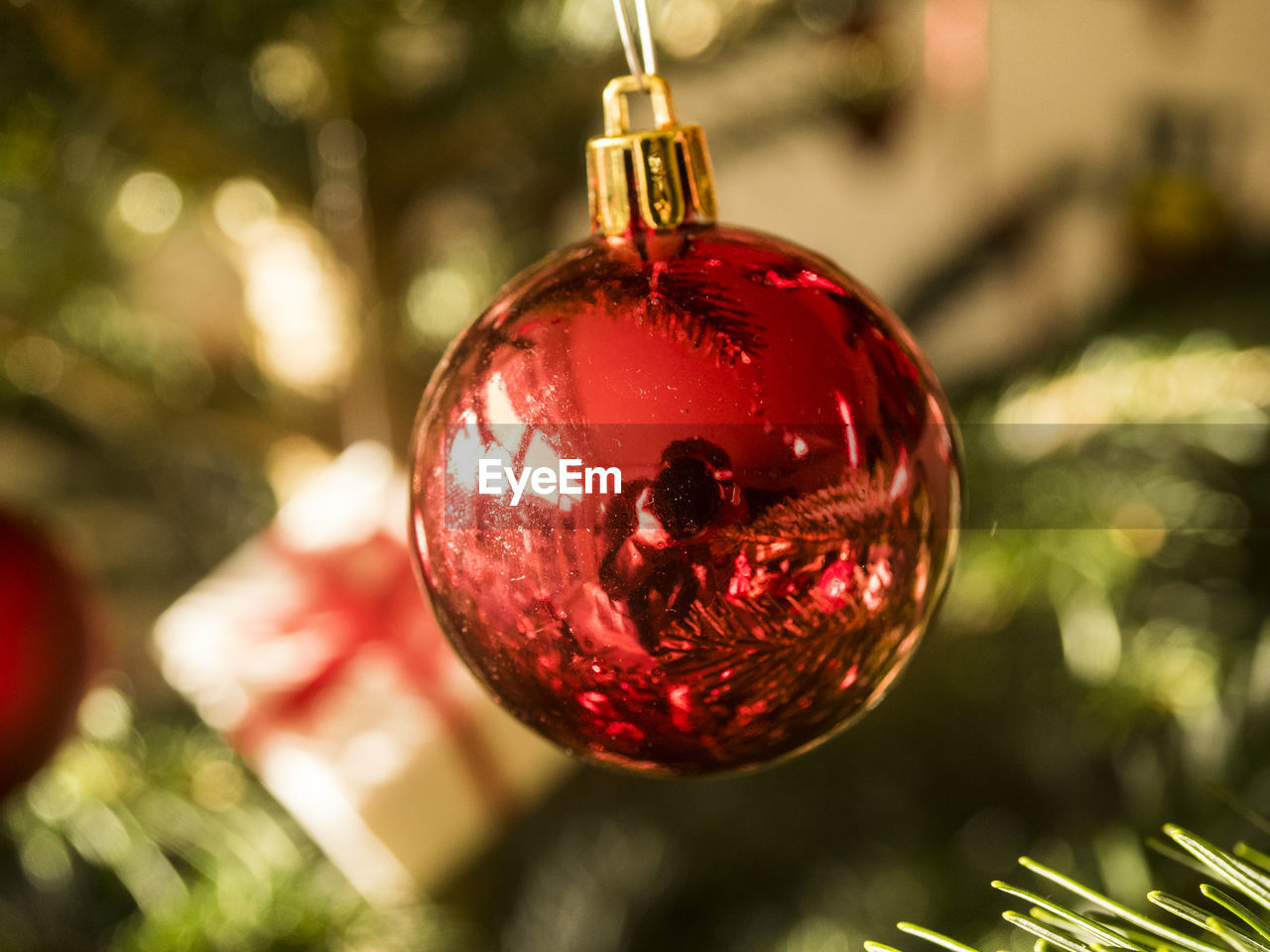 Close-up of christmas decoration hanging on tree