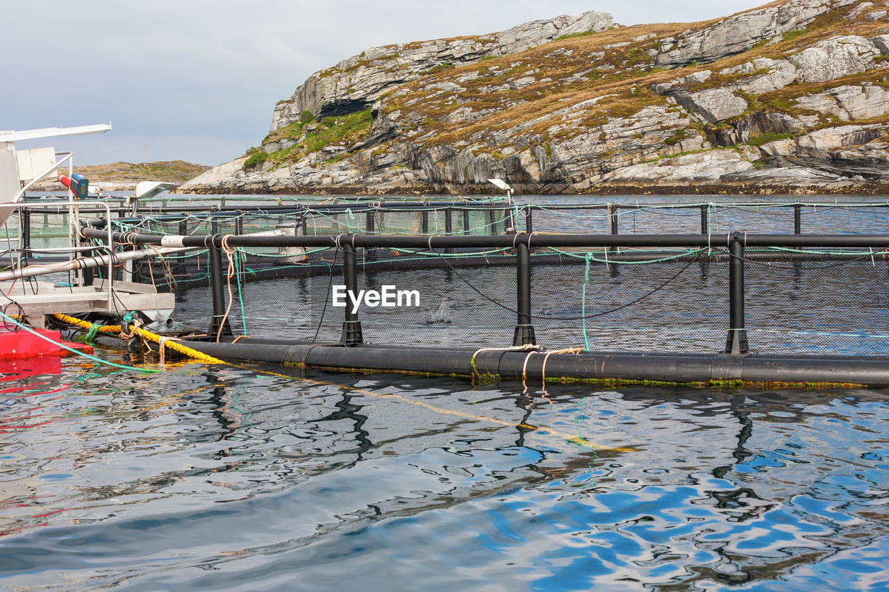 Fish farming in cages at the coast