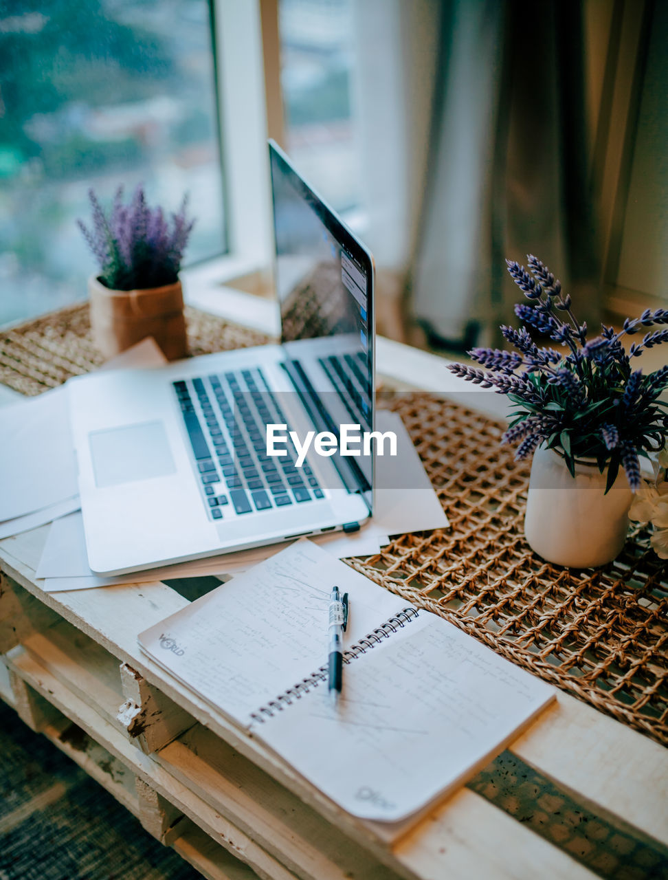 High angle view of laptop by diary and houseplants on table