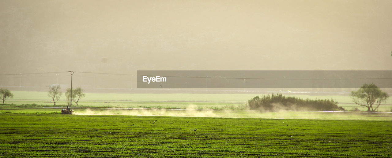 Scenic view of grassy field against sky