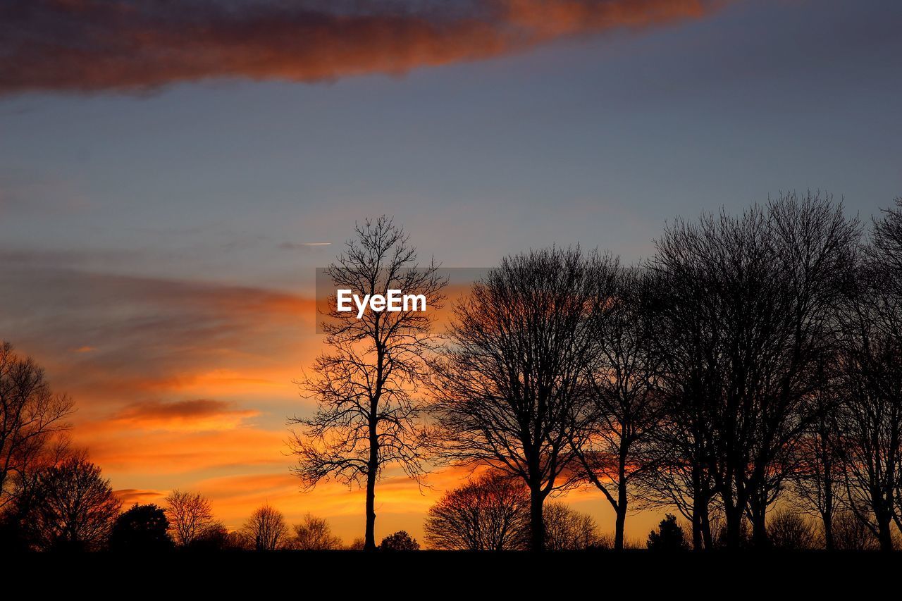 SILHOUETTE TREES ON LANDSCAPE AGAINST SKY AT SUNSET