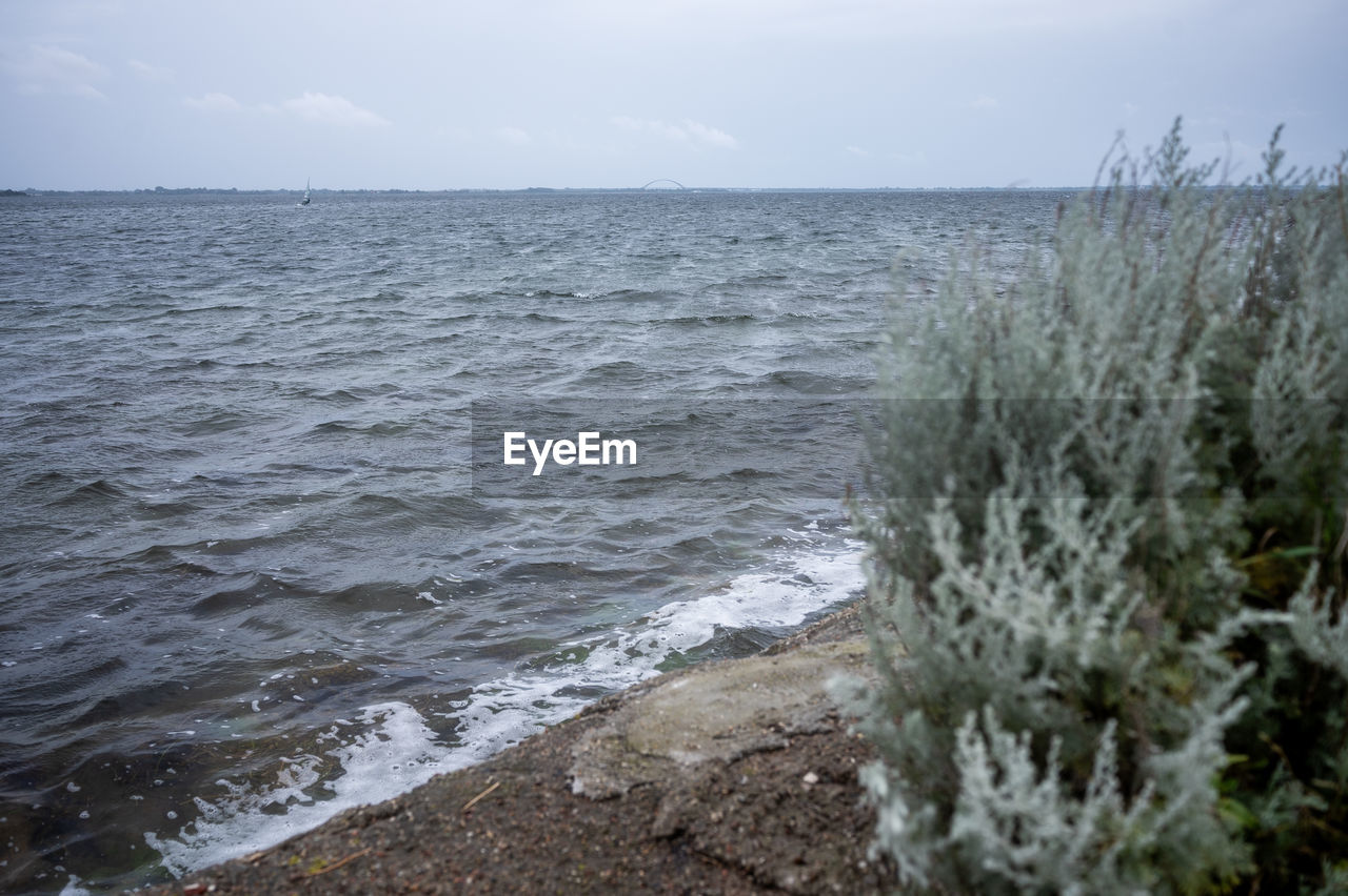 water, sea, shore, land, sky, beach, beauty in nature, scenics - nature, coast, nature, body of water, wave, ocean, horizon, cloud, horizon over water, environment, no people, tranquility, motion, plant, day, rock, tranquil scene, outdoors, wind wave, landscape, coastline, sand, non-urban scene, water sports, idyllic, travel destinations, seascape