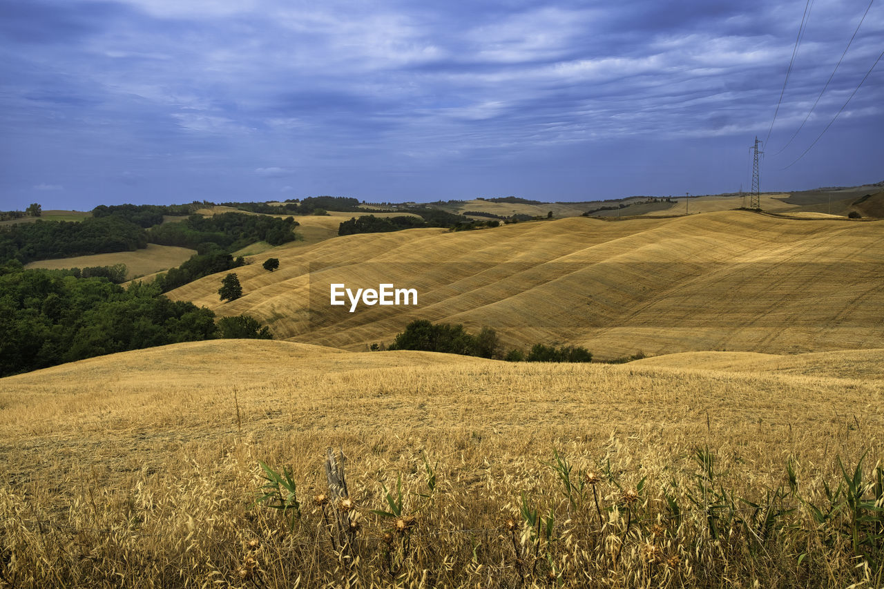 scenic view of agricultural field against cloudy sky