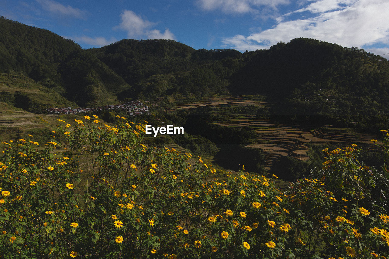 SCENIC VIEW OF MOUNTAIN AGAINST SKY