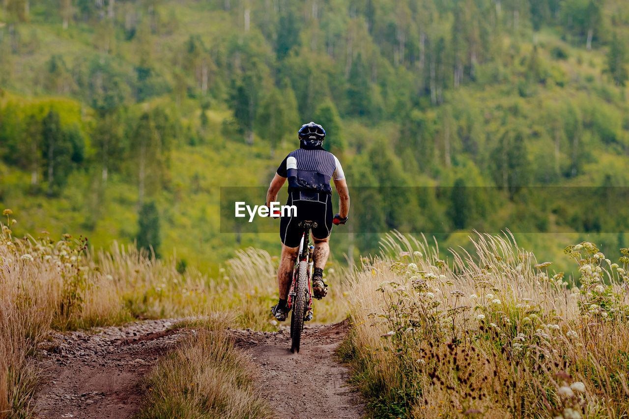 Back male cyclist rides mountain bike trail on background forest landscape