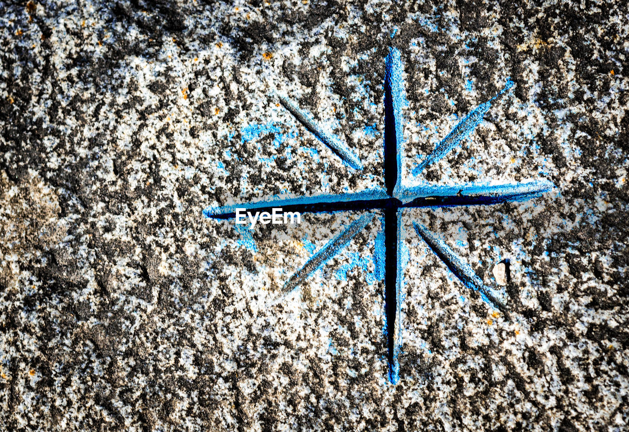 CLOSE-UP OF LIZARD ON BLUE BEACH