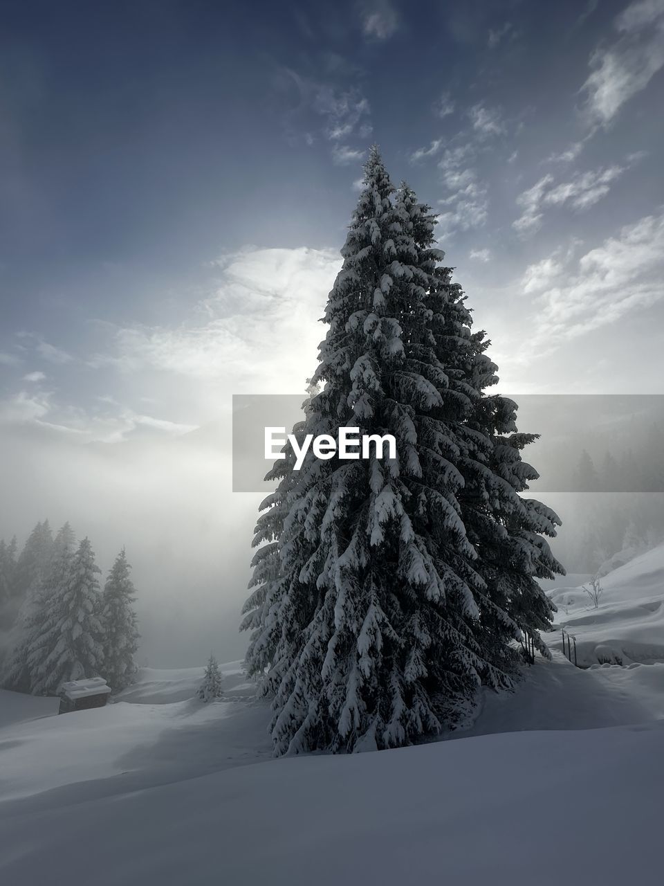 scenic view of snow covered landscape against sky