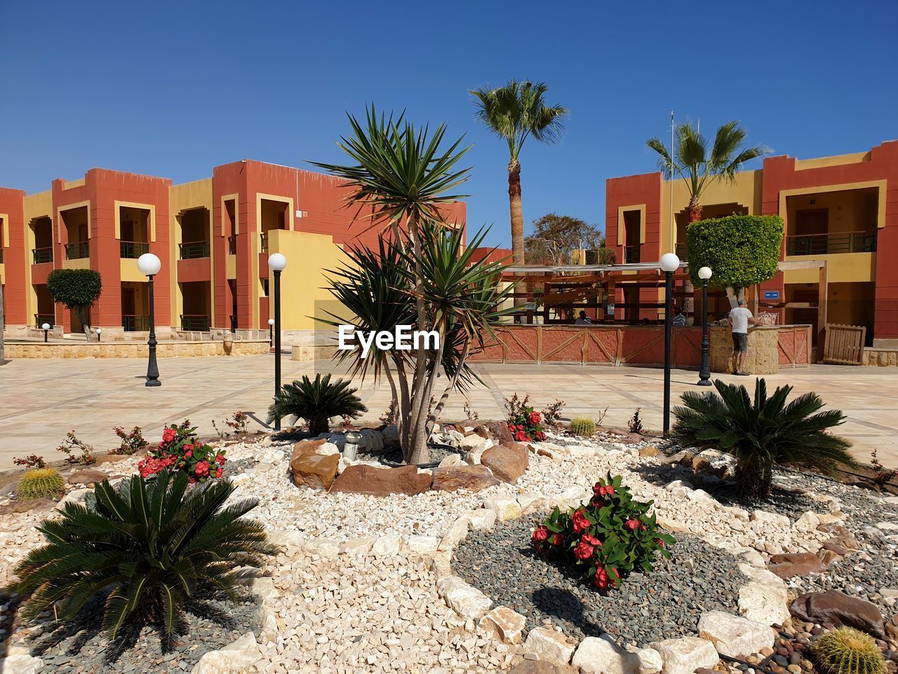 Palm trees by building against clear sky