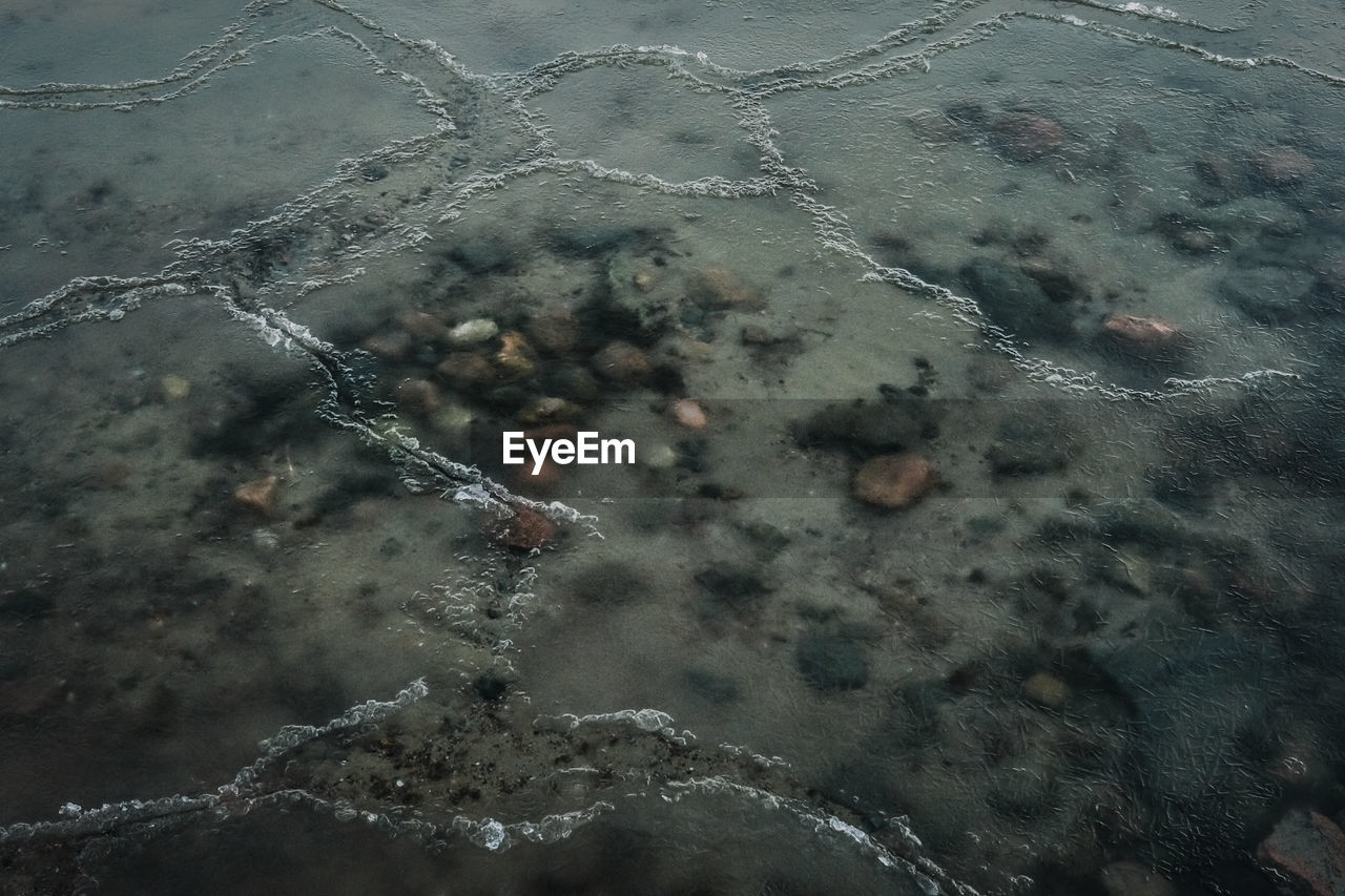 High angle view of frozen water