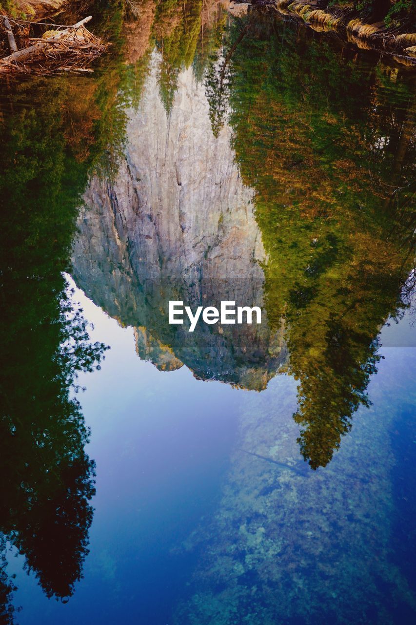 Reflection of tree in lake against sky