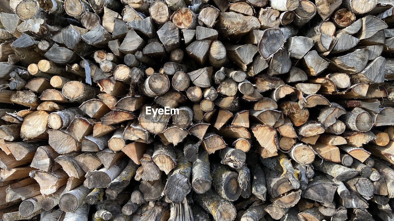 Full frame shot of logs in forest