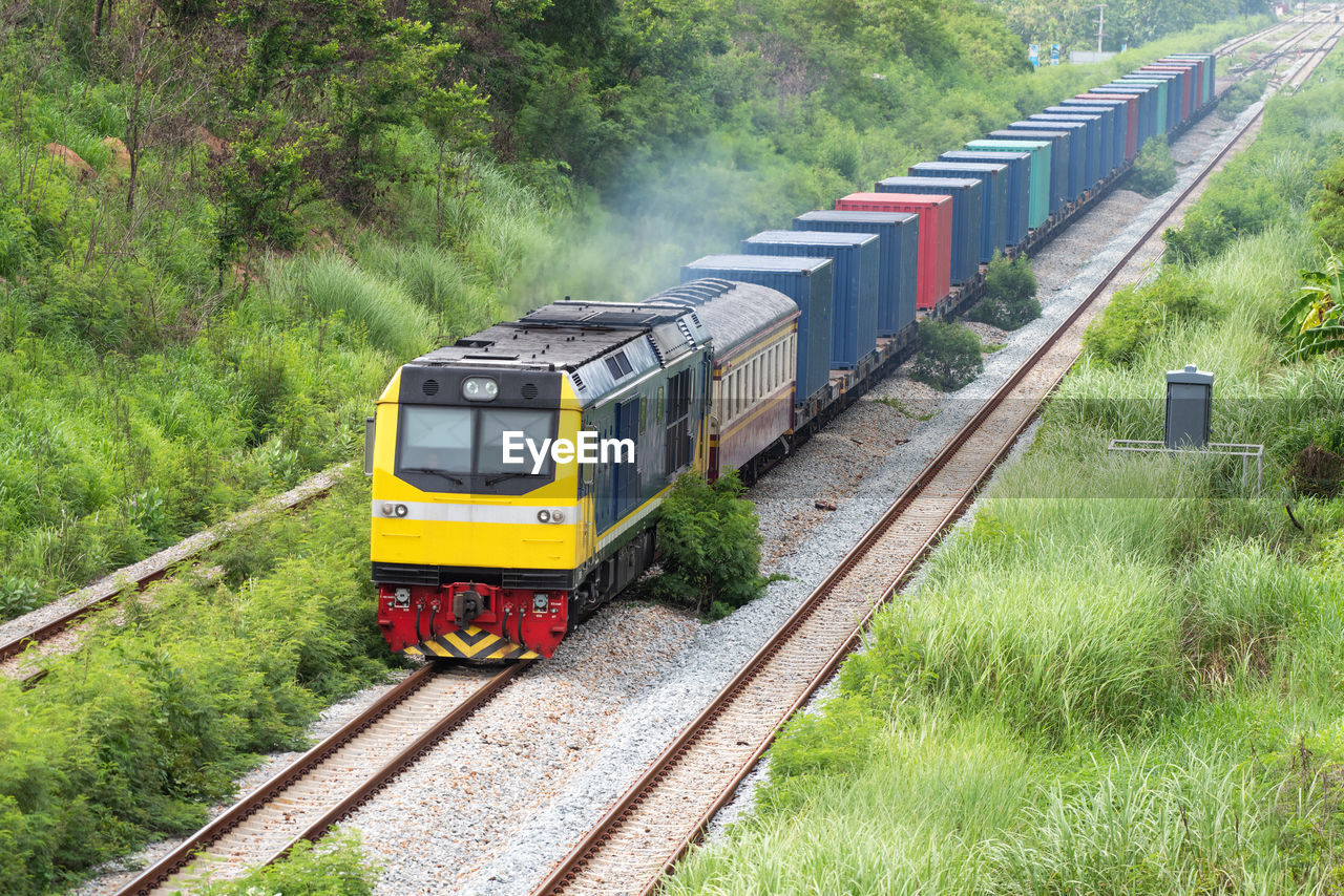 TRAIN ON RAILROAD TRACK BY TREES