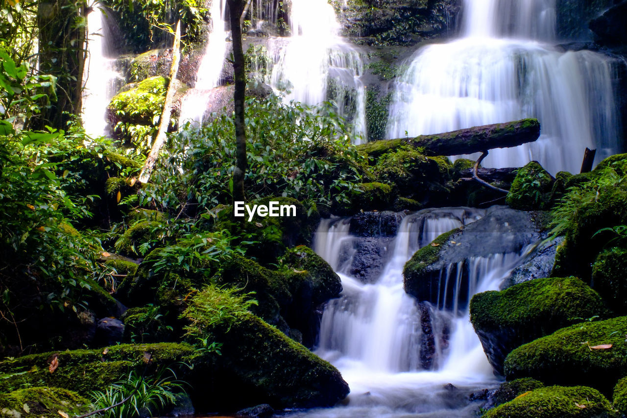 SCENIC VIEW OF WATERFALL