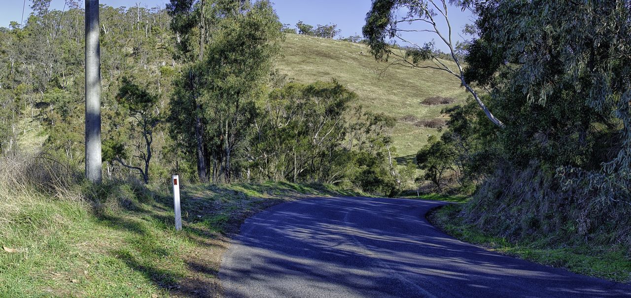 EMPTY COUNTRY ROAD ALONG TREES