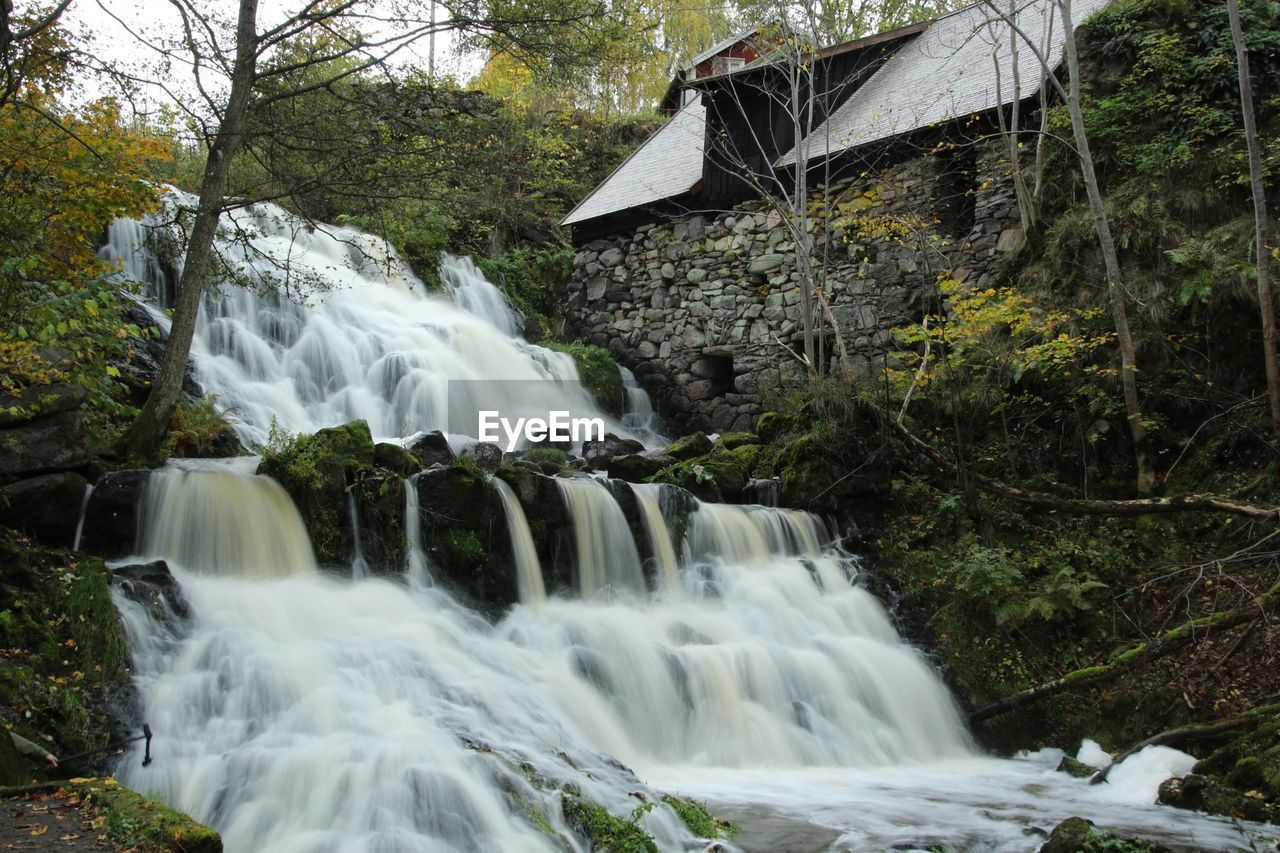 SCENIC VIEW OF WATERFALL BY TREES IN FOREST