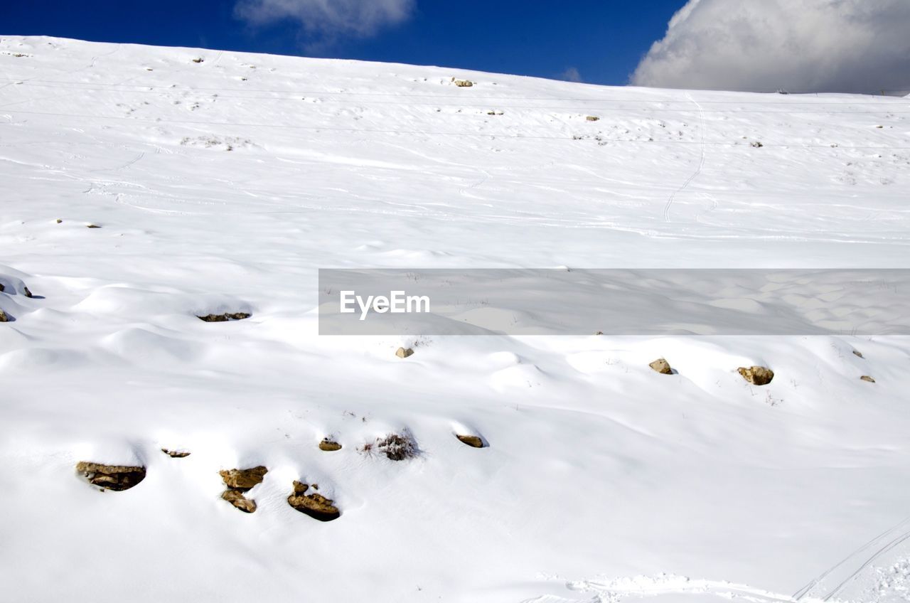 SNOW COVERED FIELD
