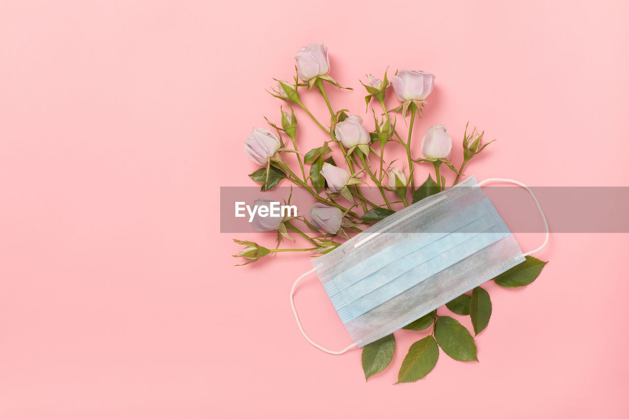 Medical respiratory protective face mask and delicate roses pink coronavirus and covid-19.