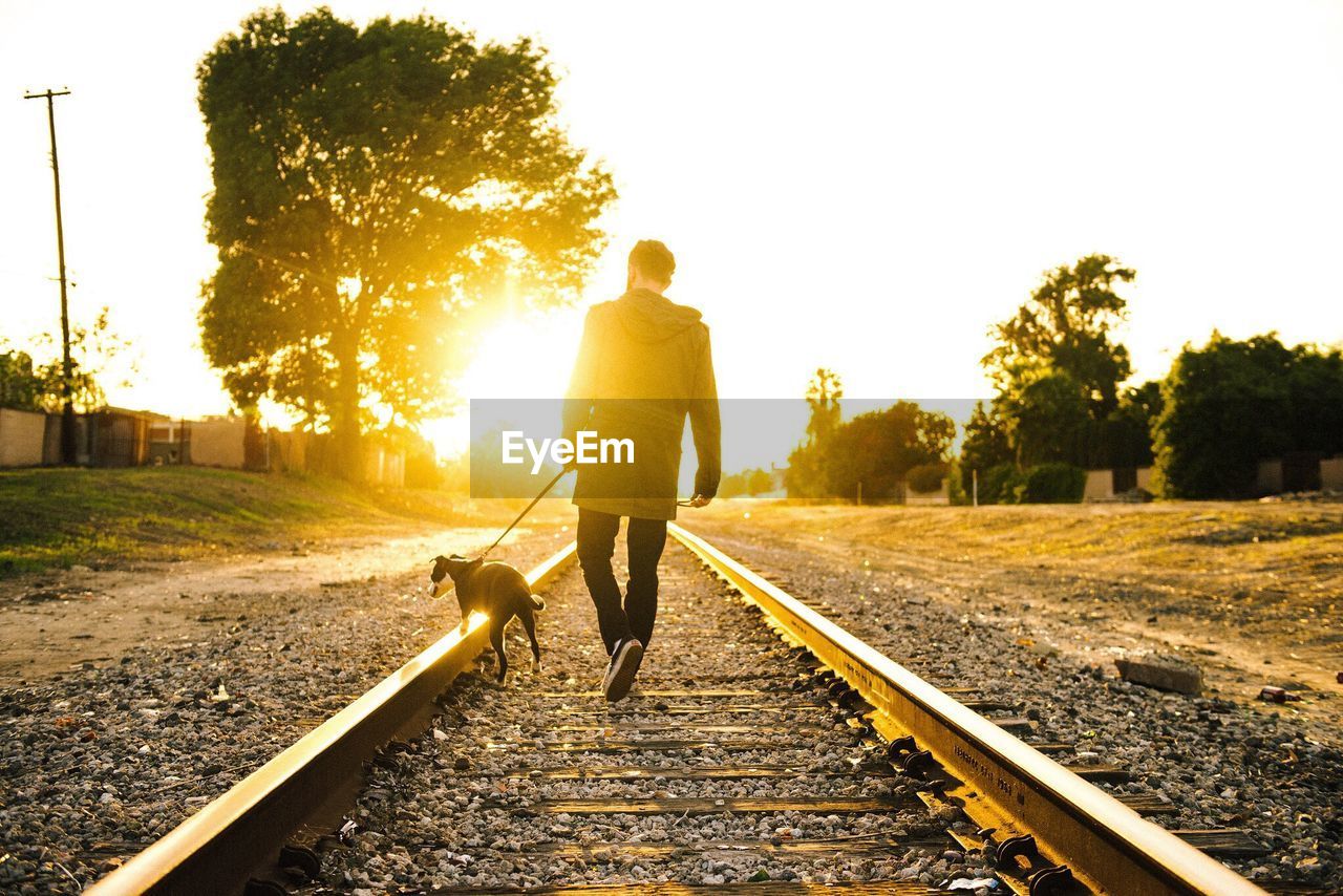 Rear view of man walking with dog along railroad tracks at sunset