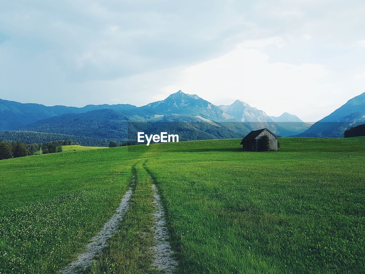 SCENIC VIEW OF AGRICULTURAL LANDSCAPE AGAINST SKY