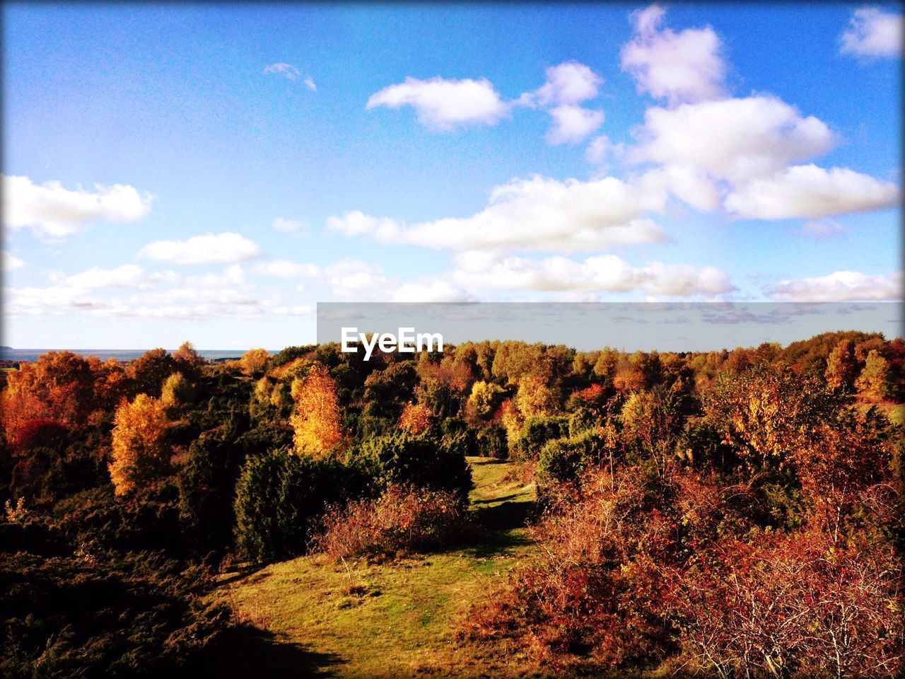 SCENIC VIEW OF RURAL LANDSCAPE