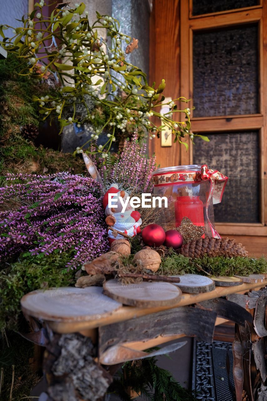 FLOWERS AND TREE IN BACKYARD