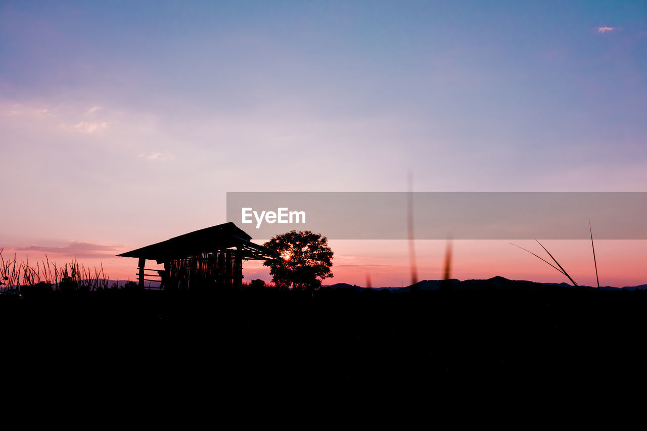 The black silhouette in the evening sky background.