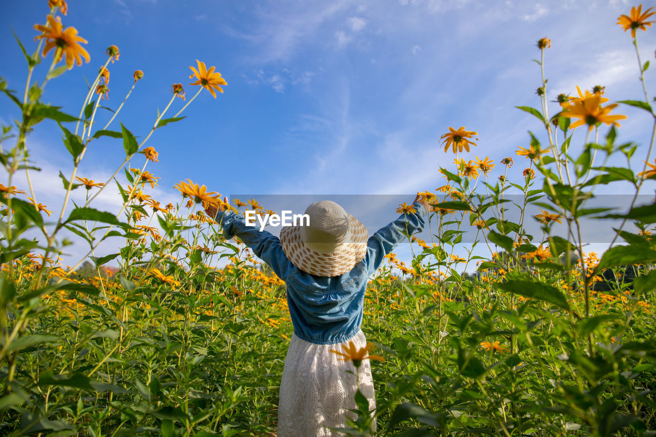 Rear view of girl standing by flowering plants against sky