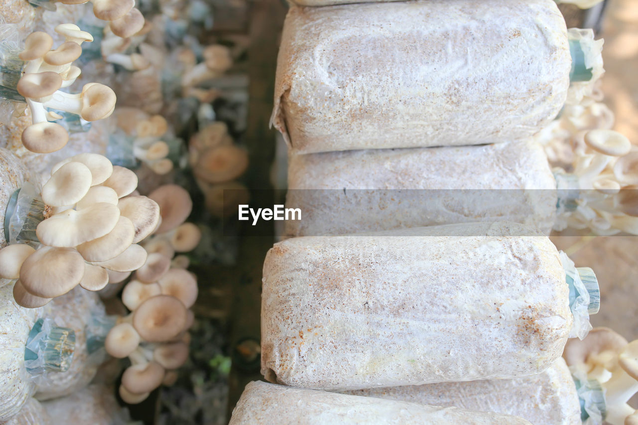 CLOSE-UP OF STACK FOR SALE