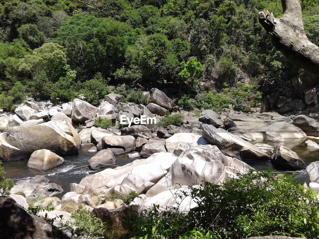 SCENIC VIEW OF RIVER