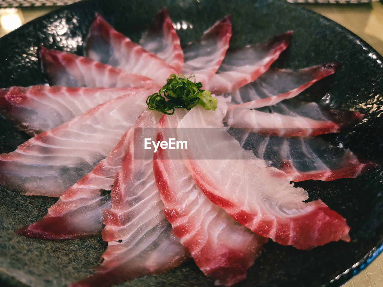 High angle view of fish in container