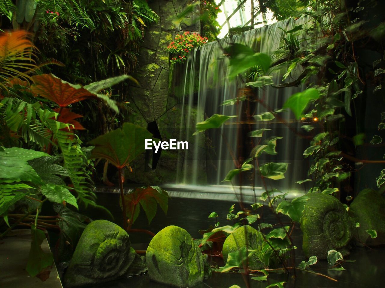 Scenic view of waterfall in forest